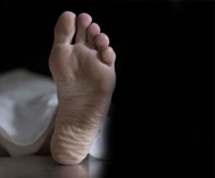 ಕಾರು ಢಿಕ್ಕಿ: ಮಹಿಳೆ ಮೃತ್ಯು