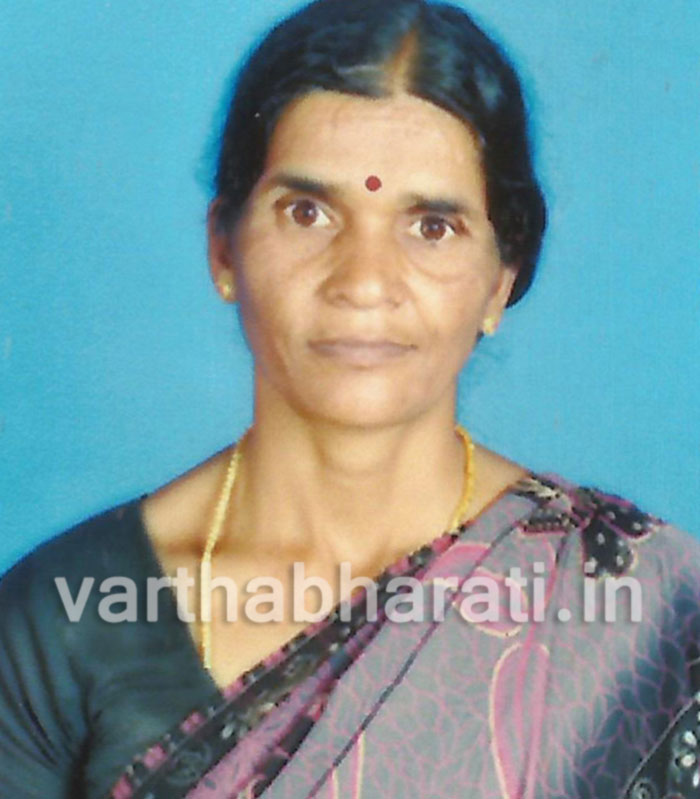 ಮಹಿಳೆಯನ್ನು ನೆಲಕ್ಕೆ ಬಡಿದು ಕೊಂದುಹಾಕಿದ ಕಾಡಾನೆ