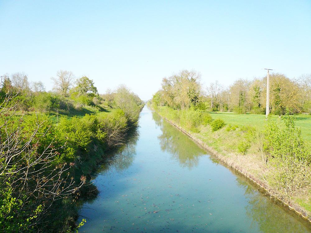 ​ಕೆರೆಗಳ ಕಾಲುವೆ ಕಾಮಗಾರಿಯಲ್ಲಿ ಅಕ್ರಮ: ಆರೋಪ