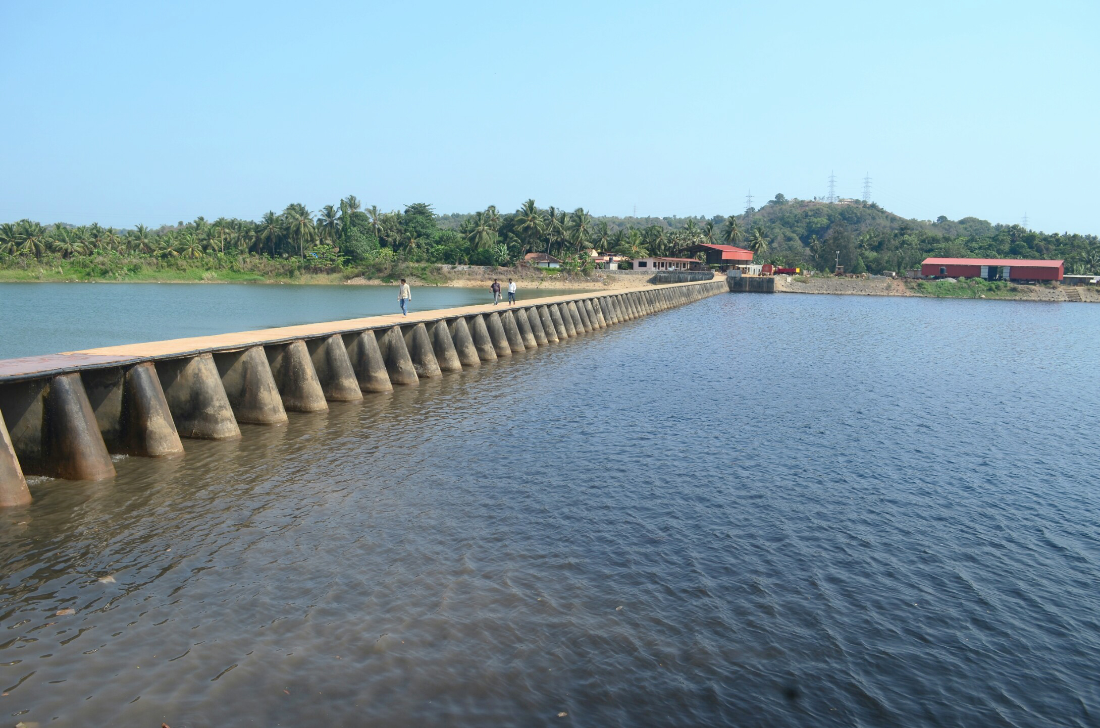 ವಿಷಮಯವಾಗುತ್ತಿದೆ ಫಲ್ಗುಣಿ ನದಿ!