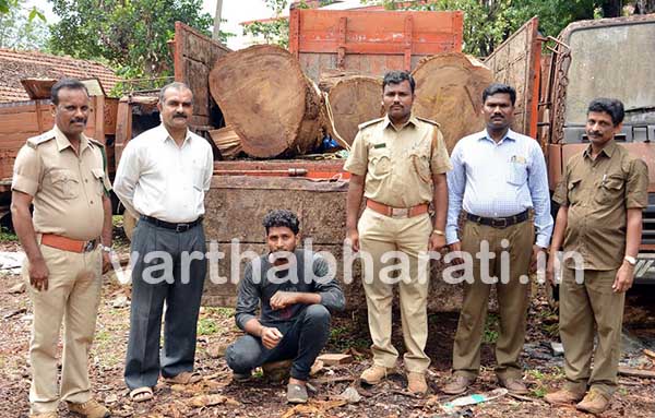 ಅಕ್ರಮ ಮರ ಸಾಗಾಟ ಪತ್ತೆ: ಓರ್ವ ಸೆರೆ