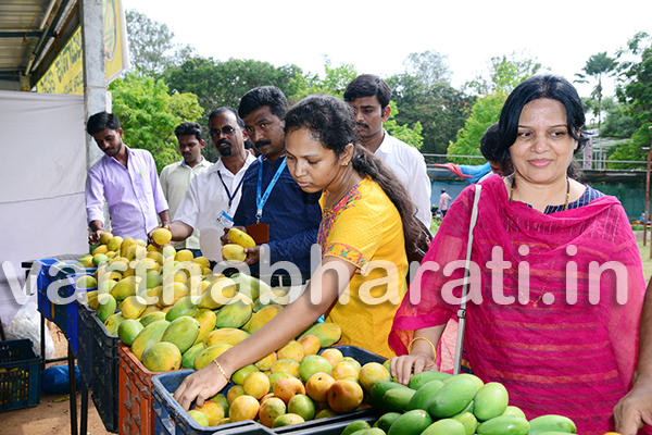 ಮಾವು -ಹಲಸು ಮೇಳಕ್ಕೆ ಹರಿದು ಬಂದ ಜನ ಸಾಗರ