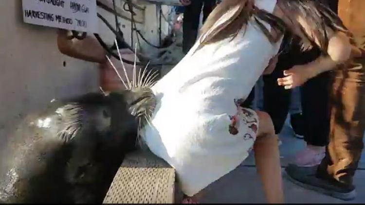 ಬಾಲಕಿಯನ್ನು ಕಚ್ಚಿ ನೀರಿಗೆಳೆದ ಜಲಚರ!