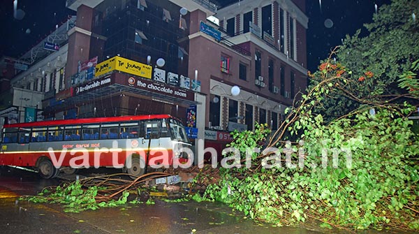 ಮರಕ್ಕೆ ಬಸ್ ಢಿಕ್ಕಿ: ಪ್ರಯಾಣಿಕರು ಪಾರು