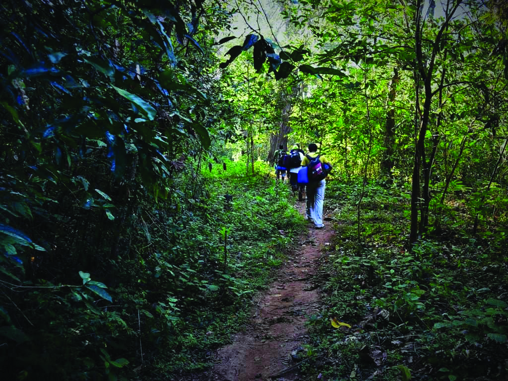 ಮೈ ಜುಮ್ಮೆನಿಸುವ  ಆಗುಂಬೆಯ  ಅಪೂರ್ವ ಅನುಭವ