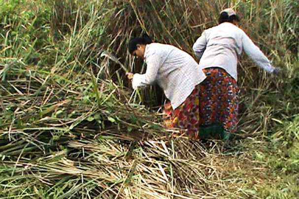ಸಂಬಳ ಹೆಚ್ಚಿದ್ದು ಒಂದೇ ರೂಪಾಯಿ: ಅದನ್ನು ಪ್ರಧಾನಿಗೇ ಕಳುಹಿಸಿದ ಉದ್ಯೋಗ ಖಾತರಿ ಕಾರ್ಮಿಕರು