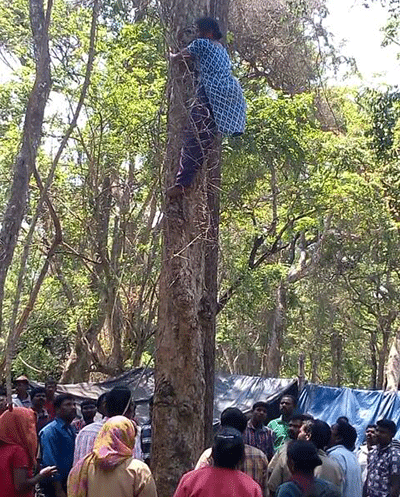 ಭೂಮಿಯ ಹಕ್ಕಿಗಾಗಿ ಮರ ಏರಿ ಧರಣಿ ನಡೆಸಿದ ದಿಡ್ಡಳ್ಳಿ ಹೋರಾಟಗಾರ್ತಿ