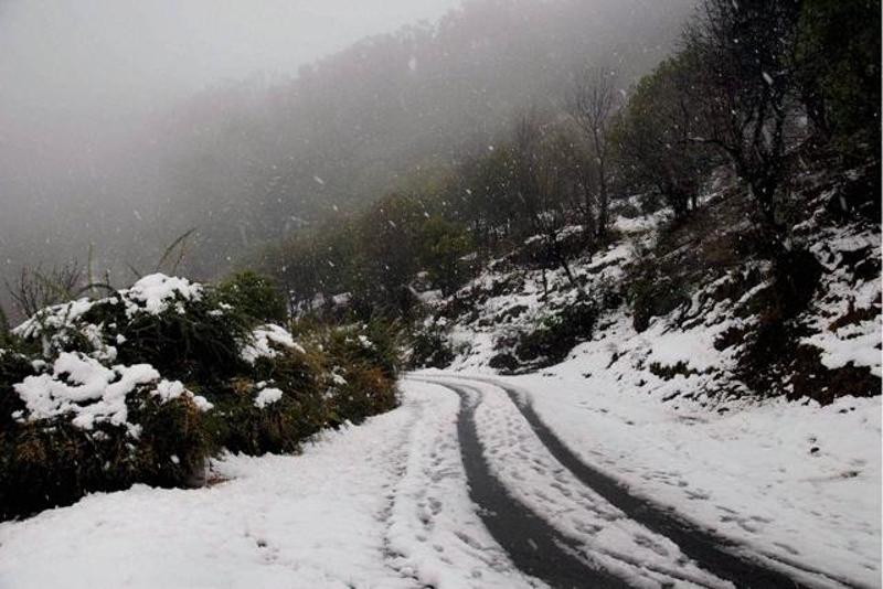 ಹಿಮಪಾತಕ್ಕೆ ಸಿಲುಕಿದ ಬಸ್,ಐವರು ಪ್ರಯಾಣಿಕರ ಸಾವು