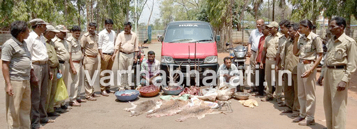 ​ಕೃಷ್ಣ ಮೃಗಗಳ ಬೇಟೆ: ಆರೋಪಿಗಳ ಬಂಧನ