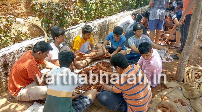 ಪ್ರಾಕೃತಿಕ ಸಮತೋಲನಕ್ಕಾಗಿ ‘ಬೀಜ ಚೆಂಡು’!: ವಿಕಾಸ್ ಕಾಲೇಜಿನಿಂದ ವಿನೂತನ ಕಾರ್ಯಕ್ರಮ