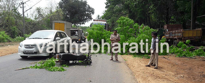 ಬೈಕ್ ಮೇಲೆ ಮರದ ಗೆಲ್ಲು ಬಿದ್ದು ಸವಾರನಿಗೆ ಗಾಯ