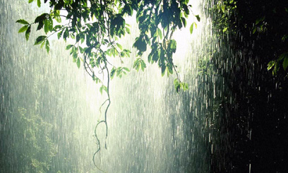 ಬಿರುಸಿನ ಮಳೆ: ಮನೆಗಳಿಗೆ ಹಾನಿ; ಸಂಚಾರಕ್ಕೆ ಅಡ್ಡಿ