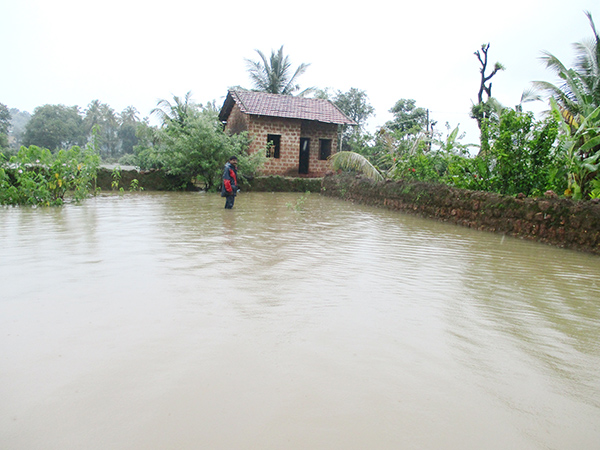 ಭಟ್ಕಳ: ಮುಂದುವರಿದ ಮಳೆ; ಮನೆಗಳಿಗೆ ನುಗ್ಗಿದ ನೀರು, ಕೃಷಿ ನಾಶ