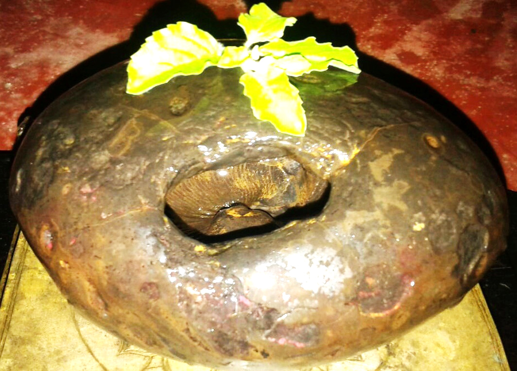 ಮುಂಡುಗೋಡು ಕಾಡಿನ ನಡುವೆ ಅಡಗಿದೆ ಸಾಲಿಗ್ರಾಮ