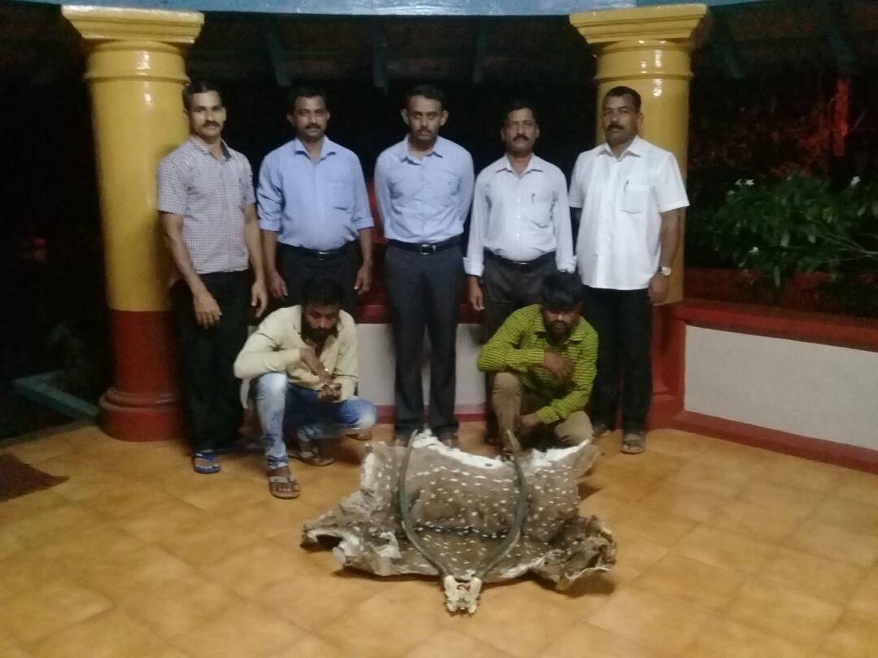 ಜಿಂಕೆಯ ಚರ್ಮ ಸಾಗಾಟ: ಆರೋಪಿಗಳ ಸೆರೆ