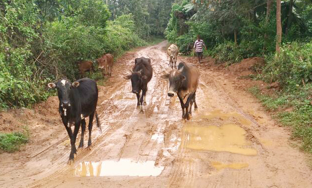 ಹದಗೆಟ್ಟಿರುವ ಮೇಕೇರಿ ಅರುವತ್ತೊಕ್ಲು ರಸ್ತೆ
