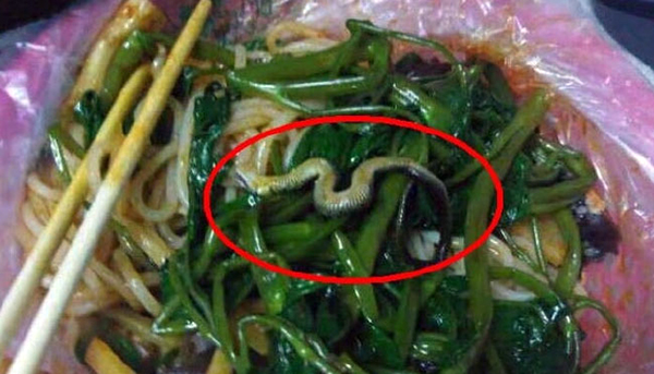 ನೂಡಲ್ಸ್ ಜೊತೆಗೆ ಹಾವು ಫ್ರೀ !