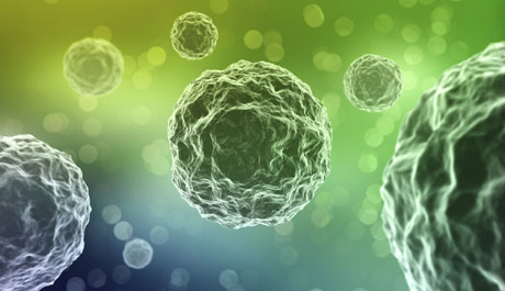 ಸಾಂಕ್ರಾಮಿಕ ಜ್ವರ: ಕೇರಳಾದ್ಯಂತ ಸ್ವಚ್ಛತಾಕಾರ್ಯ ಆರಂಭ