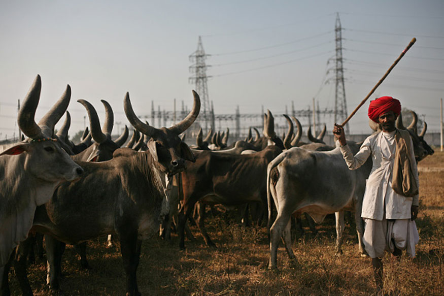 ಜಾನುವಾರು ಅಧಿಸೂಚನೆ ಪ್ರಶ್ನಿಸಿ ಸುಪ್ರೀಮ್‌ನಲ್ಲಿ ಪಿಐಎಲ್ ದಾಖಲು