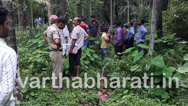 ವಿದ್ಯುತ್ ತಂತಿ ತುಳಿದು ಕೂಲಿ ಕಾರ್ಮಿಕ ಮೃತ್ಯು