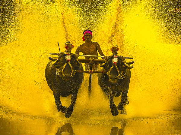 ಕಂಬಳ: ರಾಜ್ಯ ಸರಕಾರದ ಪರಿಷ್ಕೃತ ಕಾಯ್ದೆಗೆ ಕೇಂದ್ರ ಅನುಮೋದನೆ