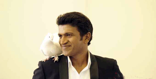 ಶತಕ ಬಾರಿಸಿದ ರಾಜಕುಮಾರ: ದಾಖಲೆಯತ್ತ ಬೊಂಬೆ ಹಾಡುತೈತೆ ಹಾಡು