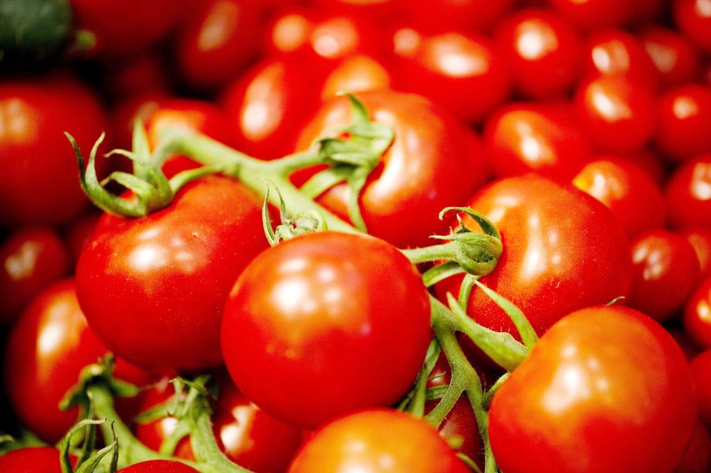 ಬರಗಾಲದಲ್ಲಿ ರೆತರ ಕೆ ಹಿಡಿದ ಟೊಮೆಟೊ ಬೆಳೆ