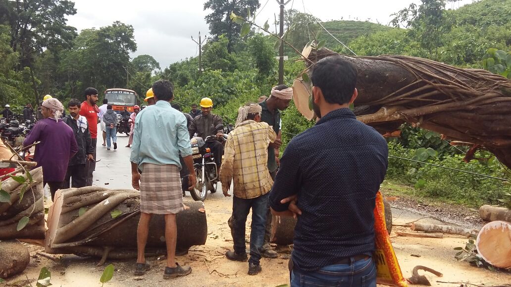 ಭಾರೀ ಗಾಳಿ ಮಳೆಗೆ ರಸ್ತೆಗೆ ಉರುಳಿದ ಮರ