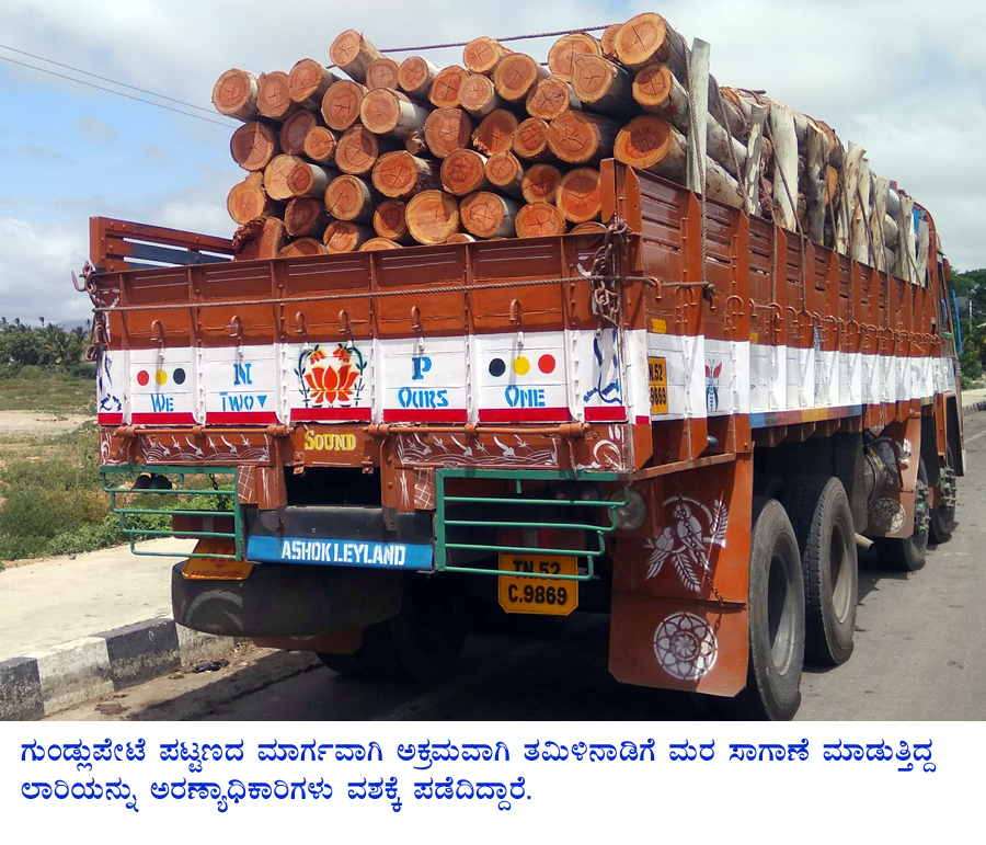 ಅಕ್ರಮ ಮರ ಸಾಗಾಟ: ಲಾರಿ ವಶ