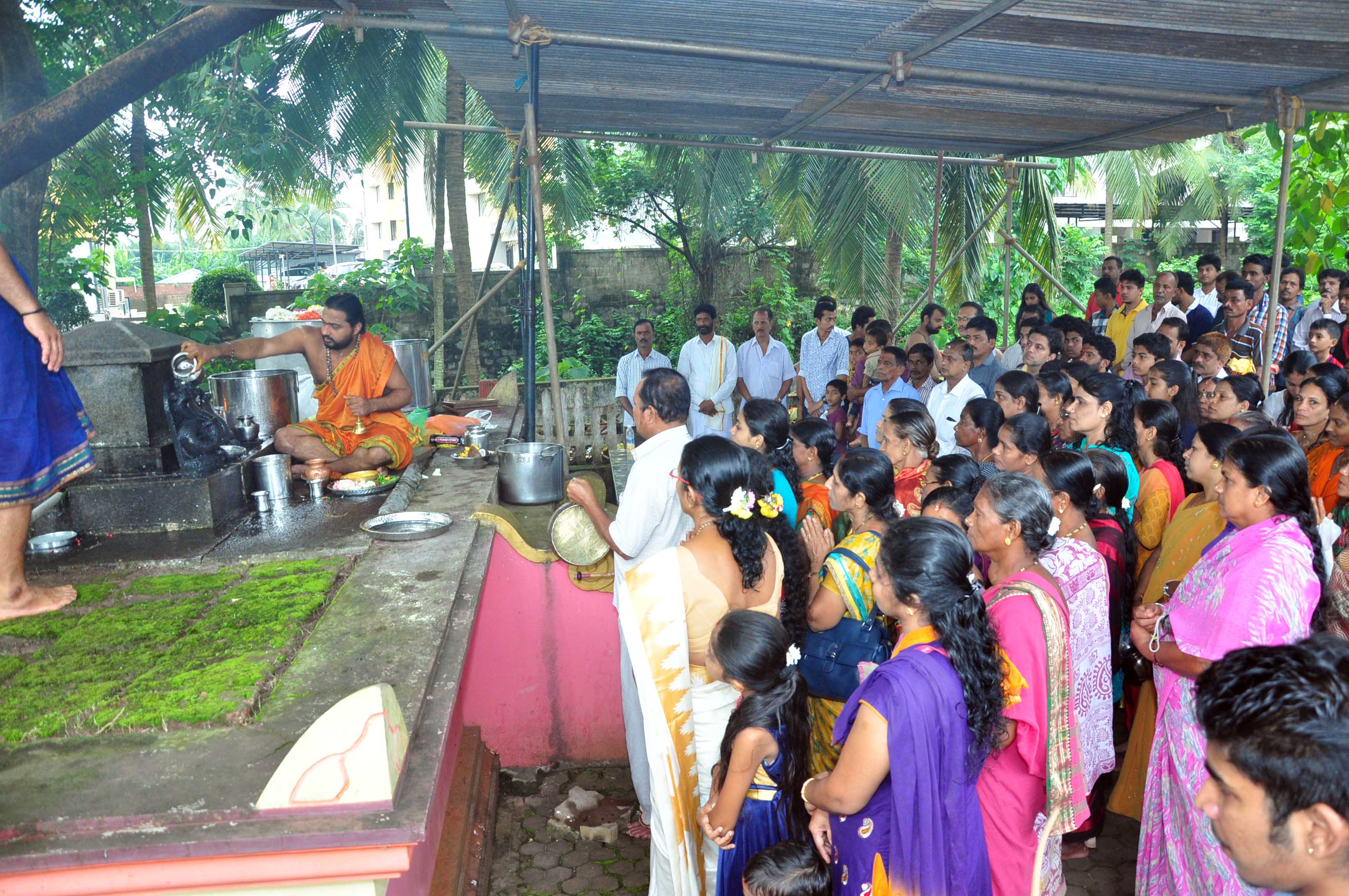 ನಾಡಿನೆಲ್ಲೆಡೆ ನಾಗರ ಪಂಚಮಿ ಆಚರಣೆ