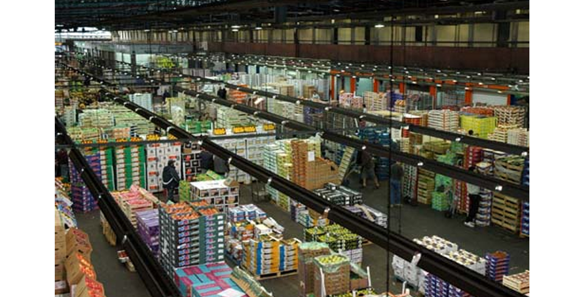 ನೋಟು ರದ್ದತಿಯಿಂದ ಸಗಟು ವಿತರಣೆ ವ್ಯವಸ್ಥೆಗೆ ಹಾನಿ: ಐಟಿಸಿ