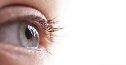 ಜು.6ರಂದು ಉಚಿತ ನೇತ್ರ ಚಿಕಿತ್ಸಾ ಶಿಬಿರ