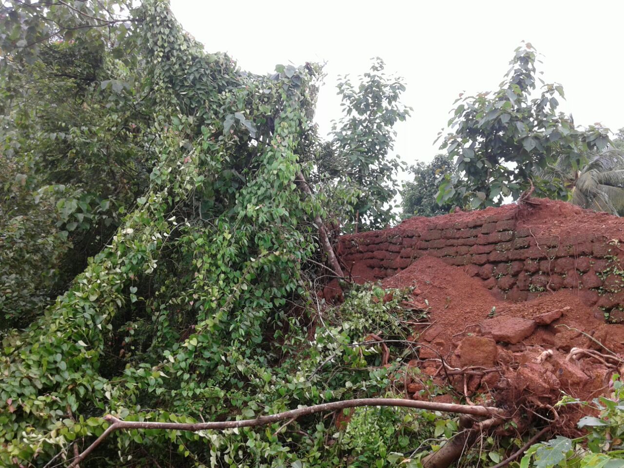 17ನೇ ಶತಮಾನದಲ್ಲಿ ಟಿಪ್ಪು ಸುಲ್ತಾನ್ ನಿರ್ಮಿಸಿದ್ದ ಕೋಟೆ ಧ್ವಂಸ