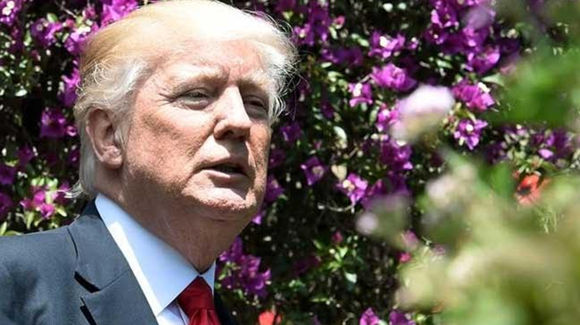 10 ದಿನ ಕೆಲಸ ಮಾಡಿದ ಸಂಪರ್ಕ ನಿರ್ದೇಶಕನನ್ನು ವಜಾ ಗೊಳಿಸಿದ ಟ್ರಂಪ್