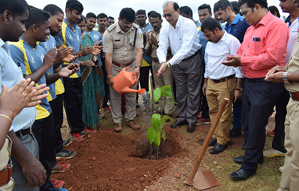 ಮಂಗಳೂರು ವಿವಿ ಎನ್‍ಎಸ್‍ಎಸ್ ಘಟಕದ ವತಿಯಿಂದ ವನಮಹೋತ್ಸವ