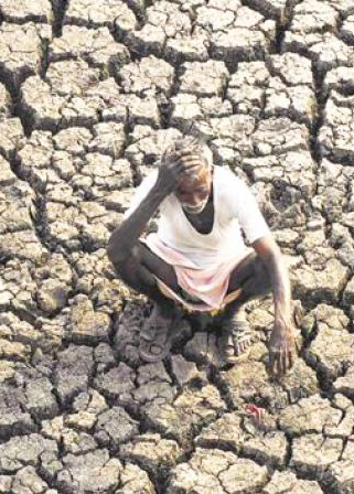 ಬಾರದ ಮಳೆ: ಭೀಕರ ಬರಗಾಲದತ್ತ ಮಲೆನಾಡು