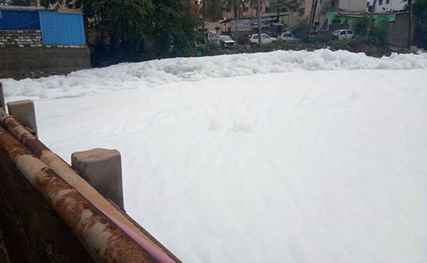 ಬೆಳ್ಳಂದೂರು ಕೆರೆಯಲ್ಲಿ ಭಾರೀ ನೊರೆ: ಸುತ್ತ ಮುತ್ತಲ ಸಾರ್ವಜನಿಕರಿಗೆ ಆತಂಕ