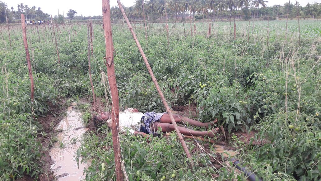 ವಿದ್ಯುತ್ ಸ್ಪರ್ಶಿಸಿ ಕೂಲಿ ಕಾರ್ಮಿಕ ಸಾವು