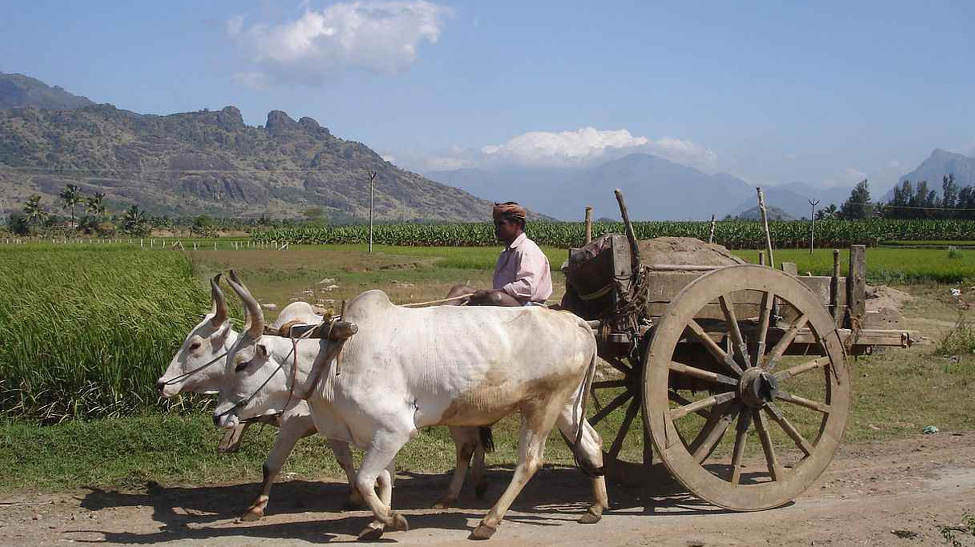 ಎತ್ತಿನಗಾಡಿ ಓಟಕ್ಕೆ ಅನುಮತಿ ನೀಡಬೇಡಿ