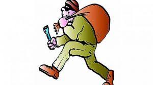 ಕಳವು ಪ್ರಕರಣ: ಆರು ಮಂದಿ ಆರೋಪಿಗಳ ಬಂಧನ