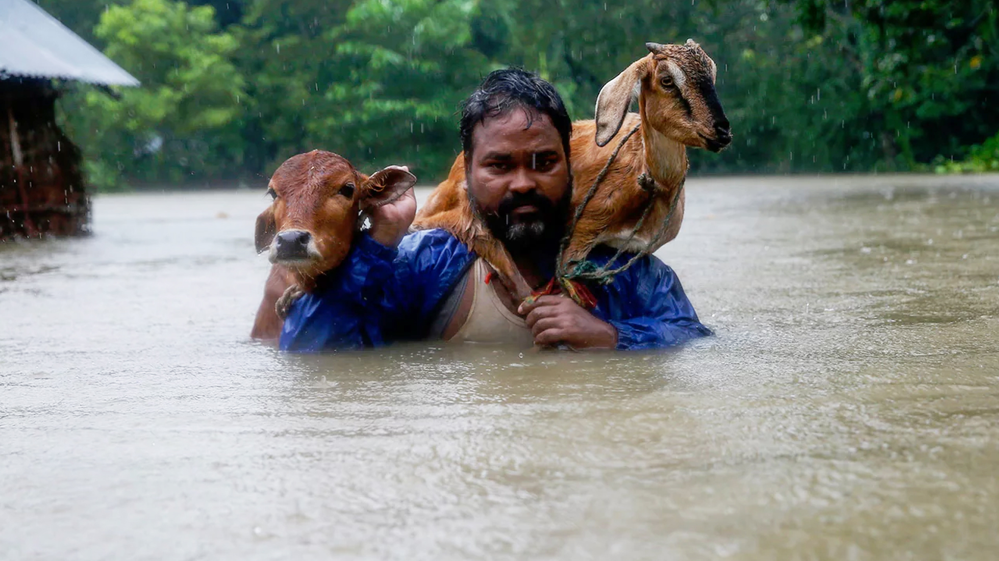 ನೇಪಾಳ, ಬಾಂಗ್ಲಾ, ಭಾರತದಲ್ಲಿ ಪ್ರವಾಹ: 1.6 ಕೋಟಿ ಮಂದಿ ಸಂಕಷ್ಟದಲ್ಲಿ ನೇಪಾಳ, ಬಾಂಗ್ಲಾ, ಭಾರತದಲ್ಲಿ ಪ್ರವಾಹ: 1.6 ಕೋಟಿ ಮಂದಿ ಸಂಕಷ್ಟದಲ್ಲಿ