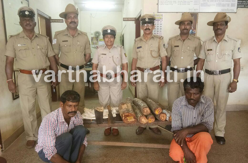 ಶ್ರೀಗಂಧ ಕಳವು: ಇಬ್ಬರು ಆರೋಪಿಗಳ ಬಂಧನ