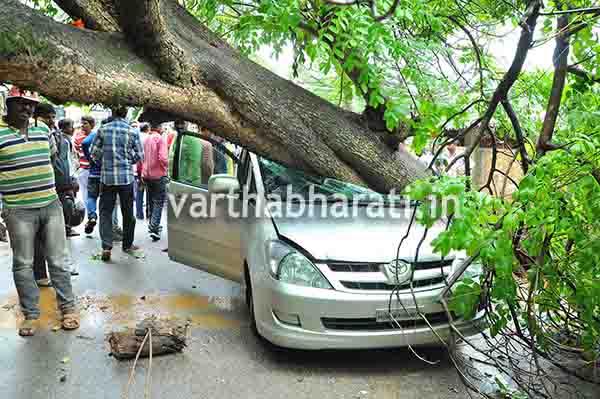 ಮಳೆಗೆ ಧರೆಗುಳಿದ ಮರ: ಕಾರು ಜಖಂ