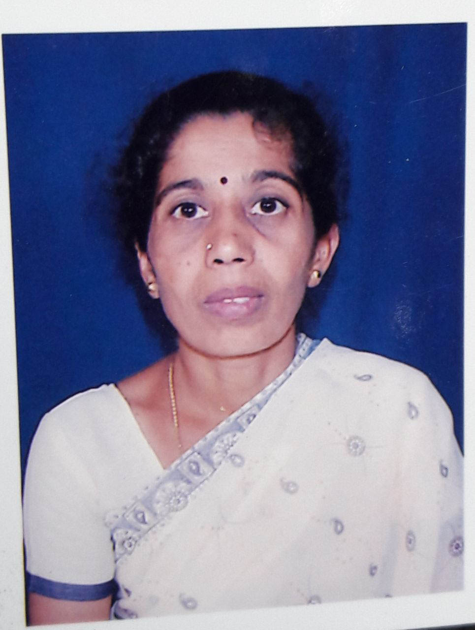 ವಾಹನ ಢಿಕ್ಕಿ: ಮಹಿಳೆ ಸಾವು