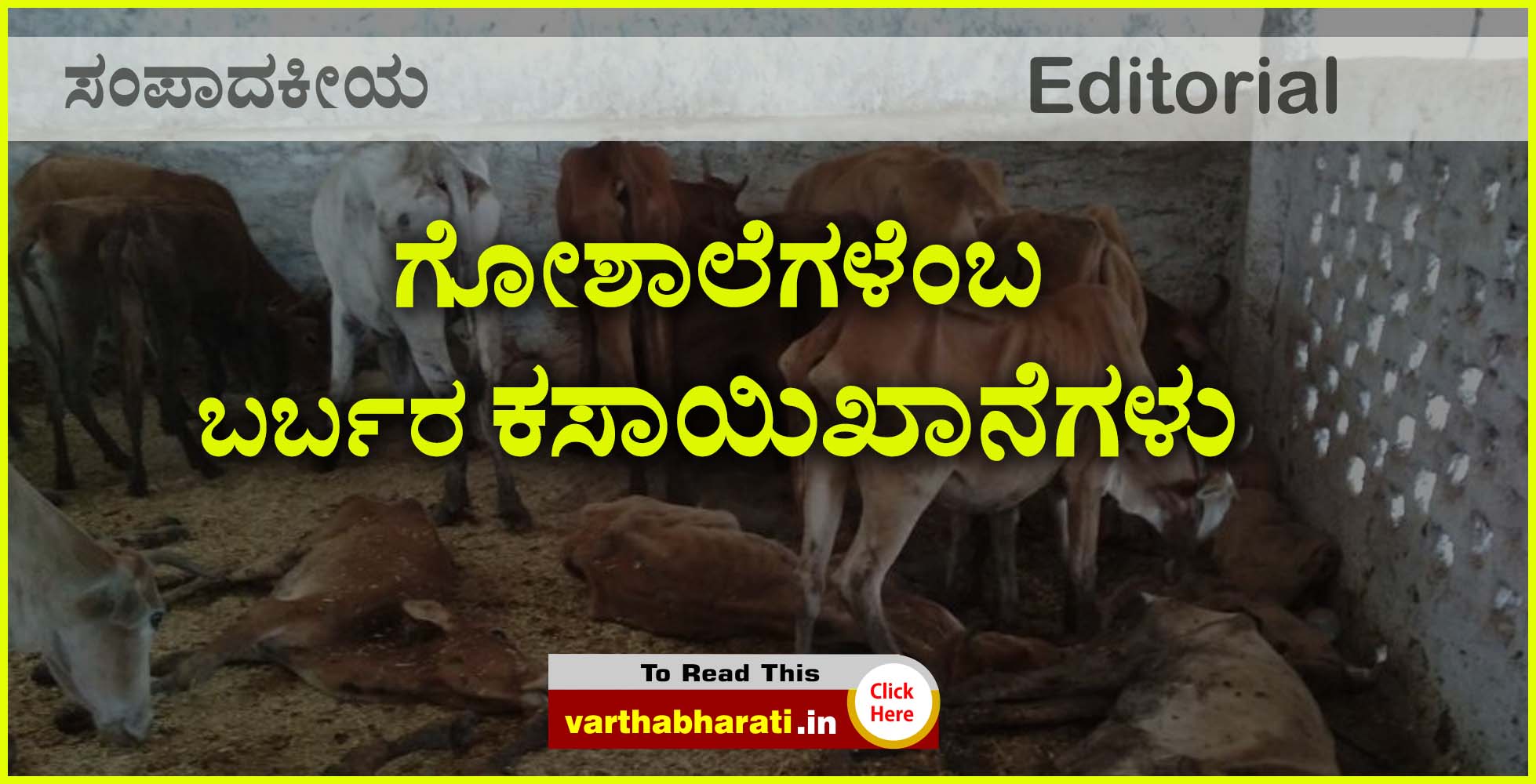 ಗೋಶಾಲೆಗಳೆಂಬ ಬರ್ಬರ ಕಸಾಯಿಖಾನೆಗಳು