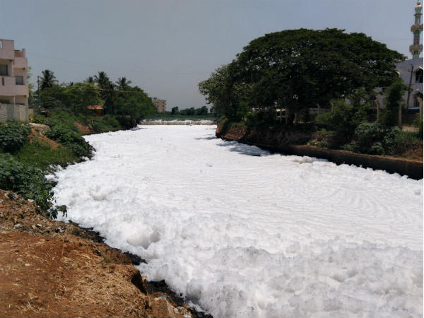 ಬೆಳ್ಳಂದೂರು ಕೆರೆ ಸ್ವಚ್ಛಕ್ಕೆ ಕ್ರಿಯಾ ಯೋಜನೆ ಸಲ್ಲಿಸಿ