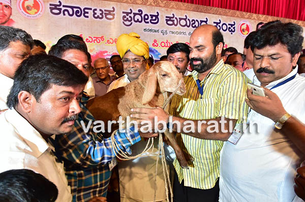 ಸಿಎಂ ಸಿದ್ದರಾಮಯ್ಯನವರಿಗೆ ಕಂಬಳಿ-ಕುರಿ ಉಡುಗೊರೆ!