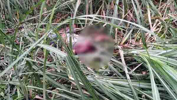 ಹಾಸನ: ರುಂಡ ಕತ್ತರಿಸಿ ಯುವಕನ ಕೊಲೆ