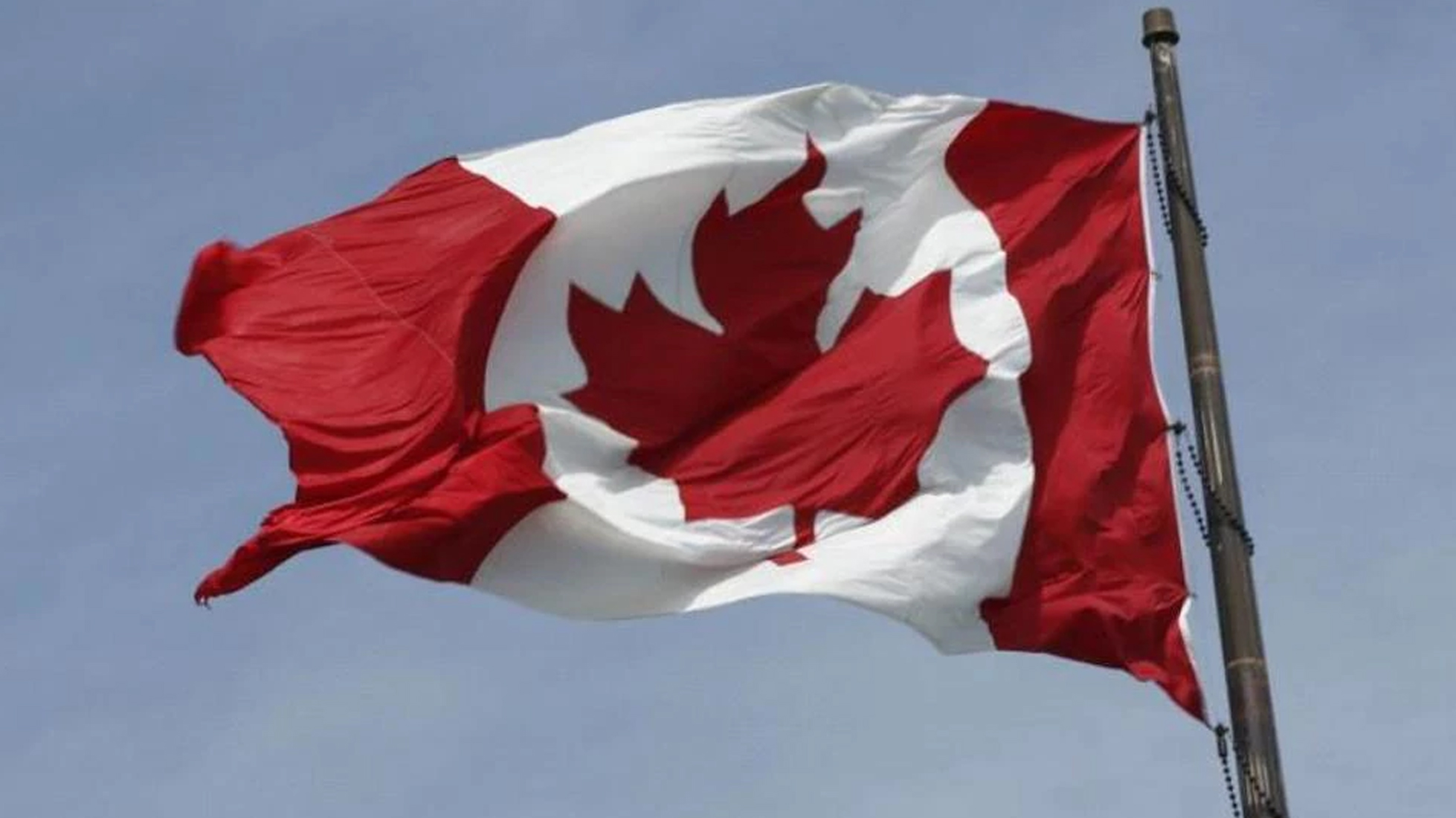 ಕೆನಡದ ಅಗ್ರ 3 ವಲಸಿಗ ಭಾಷೆಯಲ್ಲಿ ಪಂಜಾಬಿ