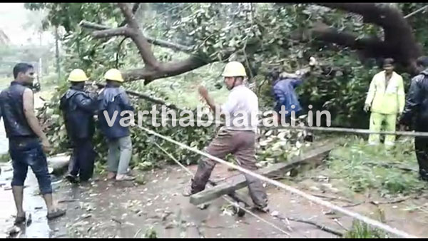 ಭಾರೀ ಗಾಳಿ ಮಳೆ : ಧರೆಗುರುಳಿದ ಮರಗಳು